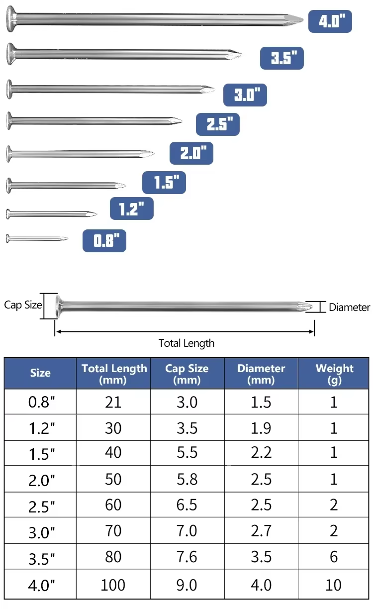 Common Iron Nail