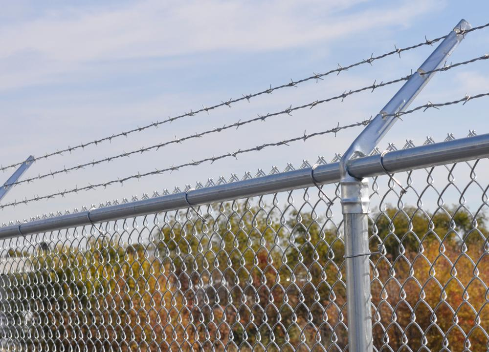 Galvanized barbed Wire