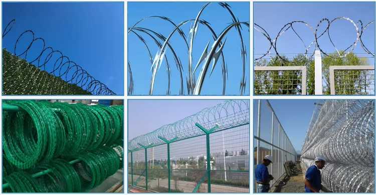 Galvanized Razor Wire