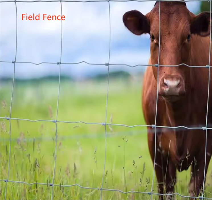 Galvanized Cattle Fence