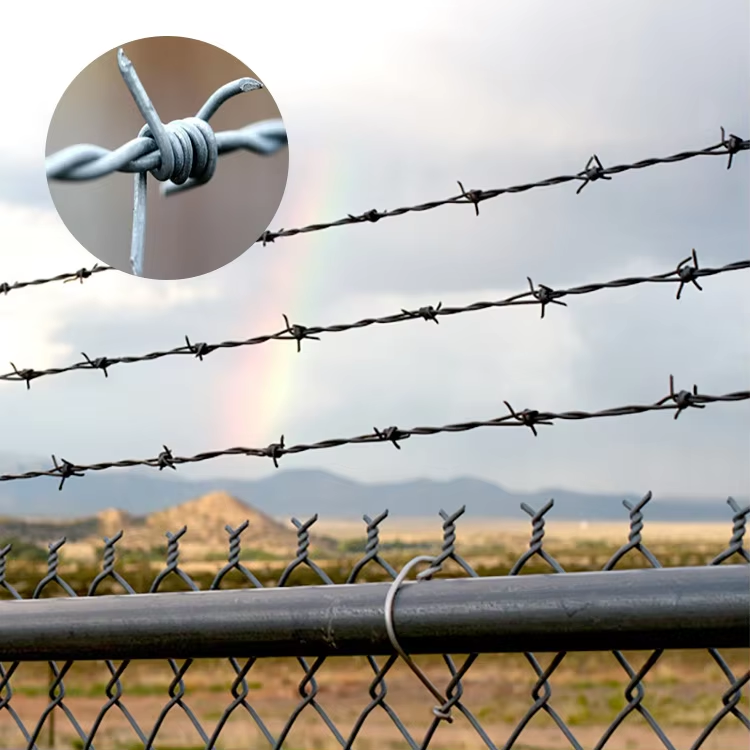 Galvanized Barbed Wire