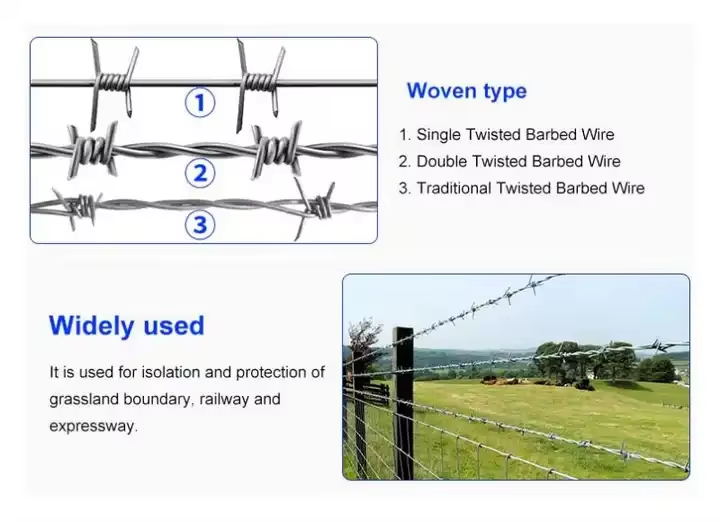 Galvanized Barbed Wire